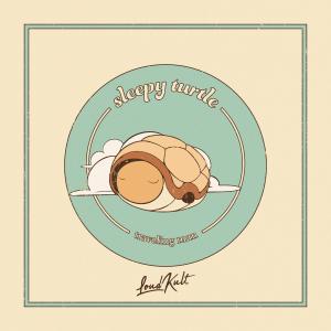 ดาวน์โหลดและฟังเพลง traveling man พร้อมเนื้อเพลงจาก Sleepy Turtle