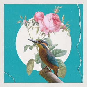 Album Forgotten Vale from Sidewalks