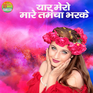 Album Yaar Mero Maare Tamancha Bharke from 