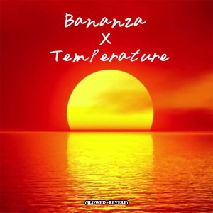 Album Bananza X Temperature (Slowed Reverb) from Vineet Raj