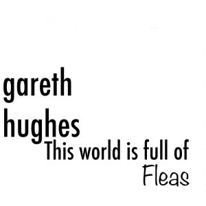 收聽Gareth Hughes的This world is full of fleas歌詞歌曲