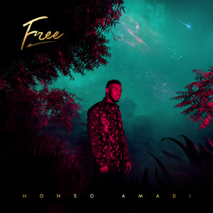ดาวน์โหลดและฟังเพลง No Crime พร้อมเนื้อเพลงจาก Nonso Amadi