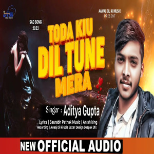 Album Toda Kiu Dil Tune Mera from 