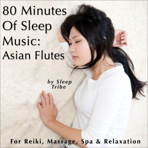 ดาวน์โหลดและฟังเพลง Shamen of Sleep (Flute & Night Forest Sounds) พร้อมเนื้อเพลงจาก Sleep Tribe