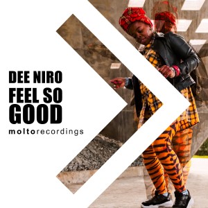 Listen to Feel So Good (Radio Edit) song with lyrics from Dee Niro