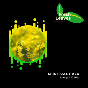 ดาวน์โหลดและฟังเพลง Thai Massage Spa (Original Mix) พร้อมเนื้อเพลงจาก Spiritual Halo