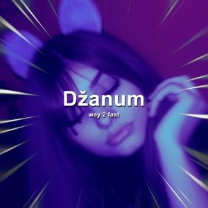 收聽Way 2 Fast的Džanum (Sped Up)歌詞歌曲