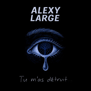 Listen to Tu m'as détruit song with lyrics from Alexy Large