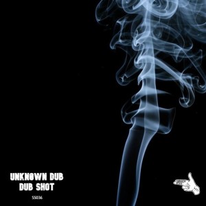 ดาวน์โหลดและฟังเพลง Dub Shot พร้อมเนื้อเพลงจาก Unkn0wn Dub