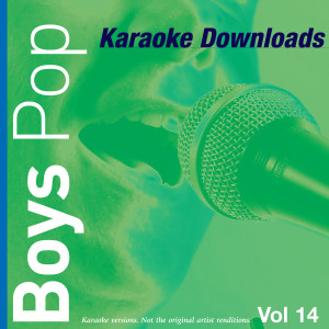 ดาวน์โหลดและฟังเพลง Free Bird (In The Style Of Lynyrd Skynyrd) พร้อมเนื้อเพลงจาก Ameritz Karaoke Band