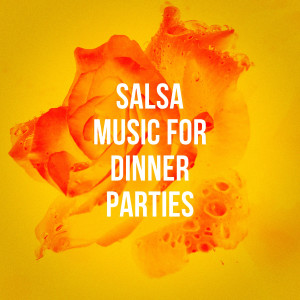 Various的專輯Salsa Music For Dinner Parties