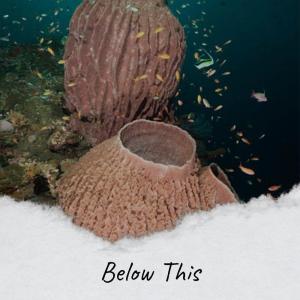 Listen to Whatnot Humankind song with lyrics from Senia Shola