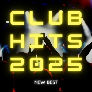 Dengarkan lagu Head & Heart (PARTY HITS REMIX) nyanyian Various Artists dengan lirik