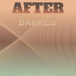 Various的专辑After Barres