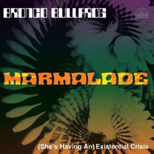 收聽Bronco Bullfrog的Marmalade歌詞歌曲