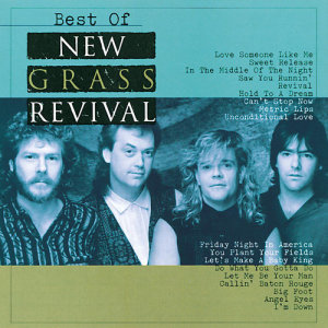 收聽The New Grass Revival的Revival歌詞歌曲