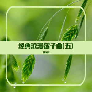 Listen to 痴情冢 (笛子曲) song with lyrics from 刘连国