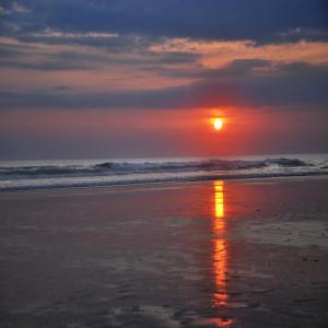 Listen to Shine a Light song with lyrics from Study Music & Sounds