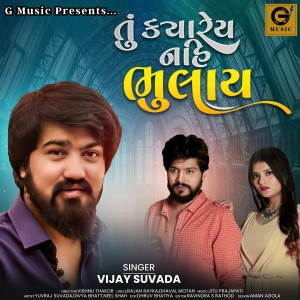 Listen to Tu Kyarey Nahi Bhulay song with lyrics from Vijay Suvada