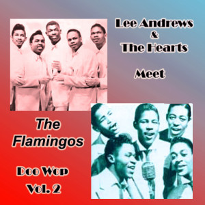 ดาวน์โหลดและฟังเพลง Please Come Back Home พร้อมเนื้อเพลงจาก The Flamingos