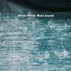 收听J.Roomy的White Noise Rain Sound (ASMR, Nature Sound)歌词歌曲