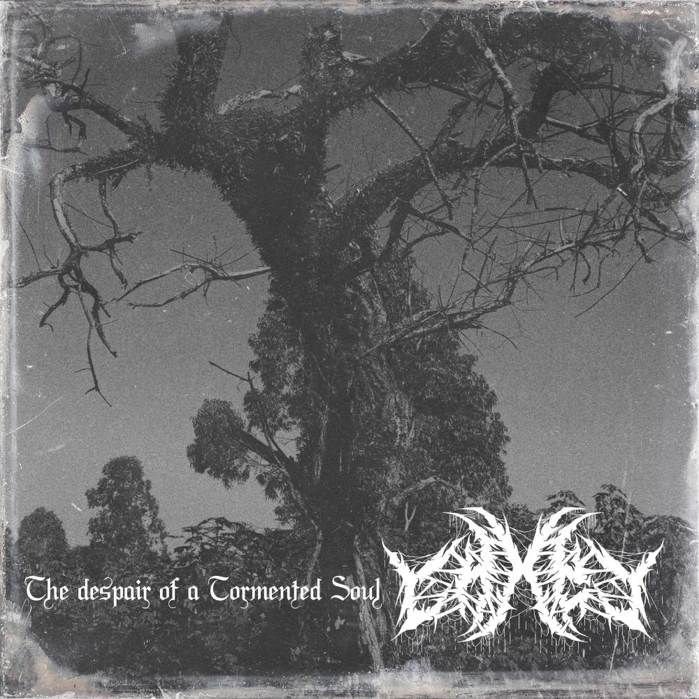 The Despair of a Tormented Soul (Explicit)