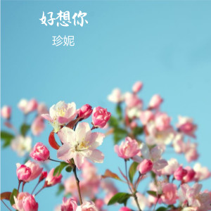 收听珍妮的爱情证明歌词歌曲