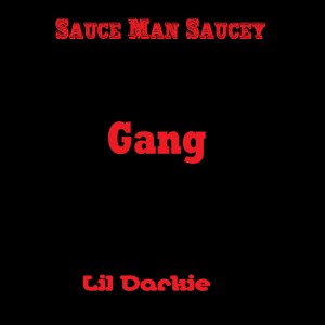 Album Gang from Sauce Man Saucey