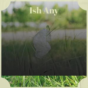Various Artists的專輯Ish Any
