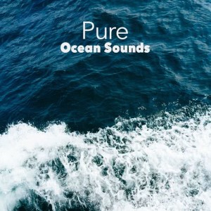 ดาวน์โหลดและฟังเพลง Waves: Sandy Beach พร้อมเนื้อเพลงจาก Outside Broadcast Recordings