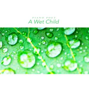 收听群星的A Wet Child歌词歌曲