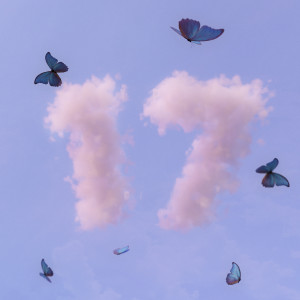 Album 17 from ILY Truly