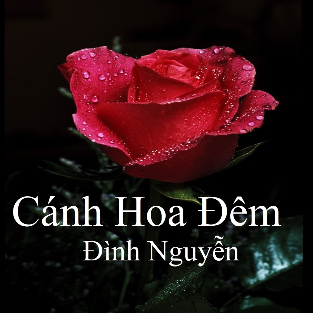 Ván Đã Đóng Thuyền 2