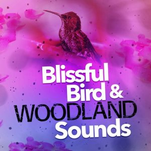 ดาวน์โหลดและฟังเพลง Waters Run พร้อมเนื้อเพลงจาก Bird Sounds