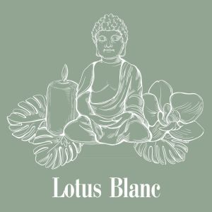 收聽Buddhist méditation académie的Lueur dans le Jardin Zen歌詞歌曲