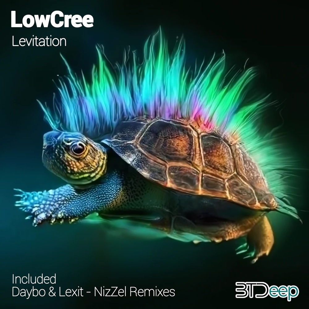 Levitation (Original Mix)