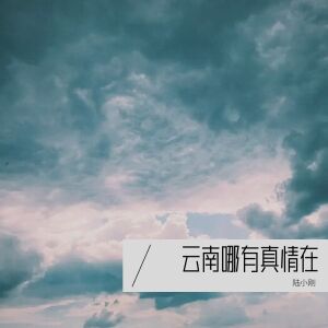 Album 云南哪有真情在 from 陆小刚