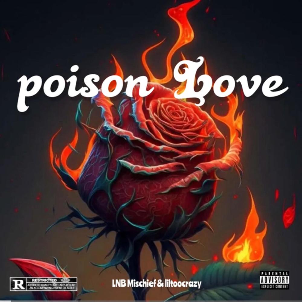 Poison Love (feat. LilTooCrazy) (Explicit)