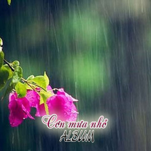 Listen to Nữ Thần (#1) song with lyrics from Doan Trang
