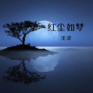 沈波的专辑红尘如梦
