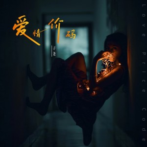 Album 爱情价码 from 子尧（阮洪尧）
