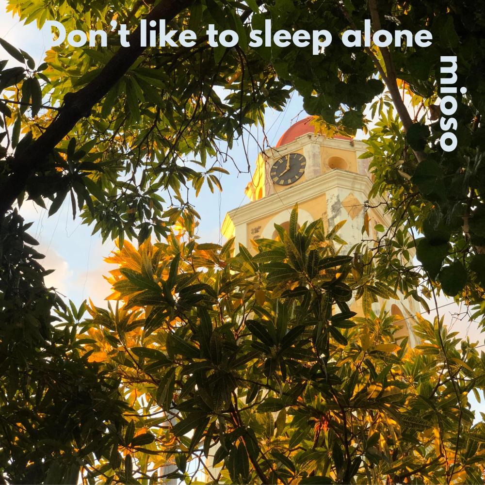 I Don't Like To Sleep Alone