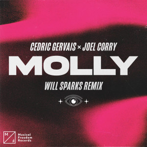 收聽Cedric Gervais的MOLLY (Will Sparks Remix)歌詞歌曲