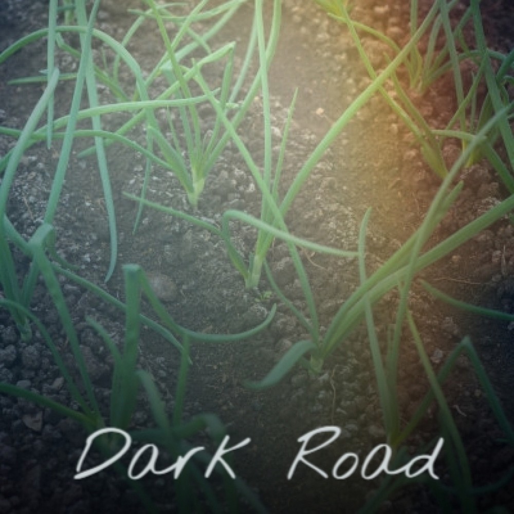 Dark Road