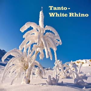Listen to White Rhino song with lyrics from Tanto