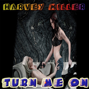 ดาวน์โหลดและฟังเพลง Turn Me On พร้อมเนื้อเพลงจาก Harvey Miller