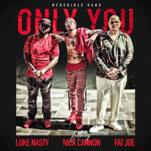 收聽Ncredible Gang的Only You歌詞歌曲