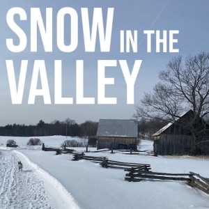 Tom Green的專輯Snow in the Valley