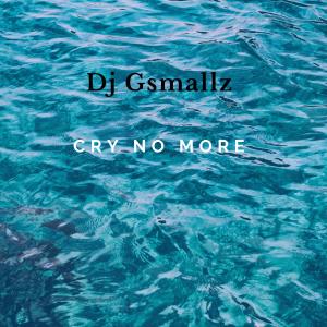 Listen to Cry No More song with lyrics from Dj G Smallz