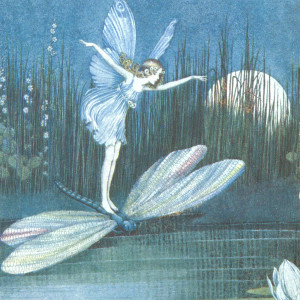 Listen to Falling Leaves song with lyrics from Klaus Layer